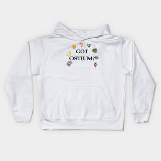 Collect Them All Kids Hoodie